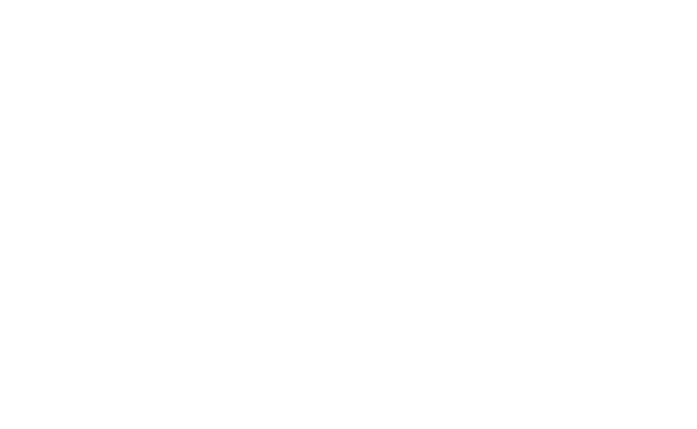 Autotransportes Camus
